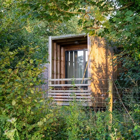 Holiday home Lushwood Forest Retreat